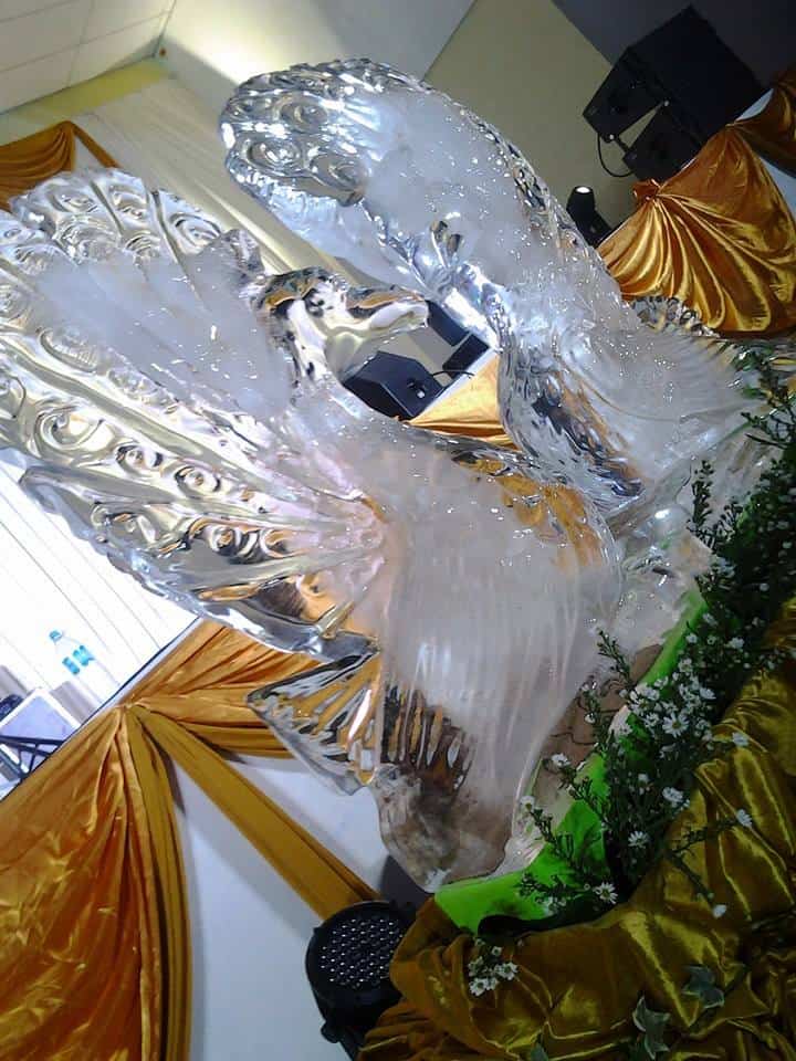 Aranie event management